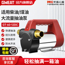 格威特小型电动抽油泵全自动吸柴油泵加油机 12V24V220V直流油泵