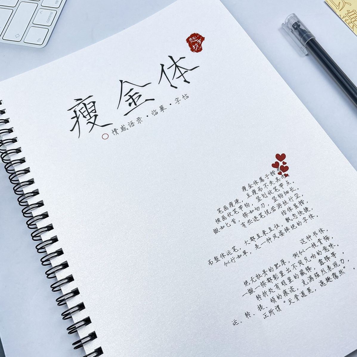 瘦金体手写字体女生字帖漂亮成年练字帖/练字板