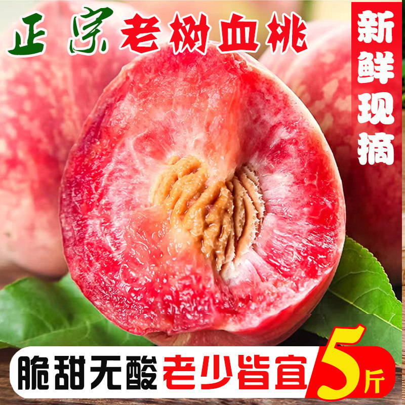 正宗湖北血桃当季时令新鲜水果5斤整箱包邮农家自种老品种脆桃子