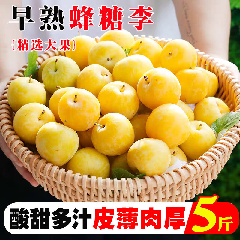 李子新鲜水果蜂糖李早熟现摘当季孕妇水果农家自种青脆李非三华李