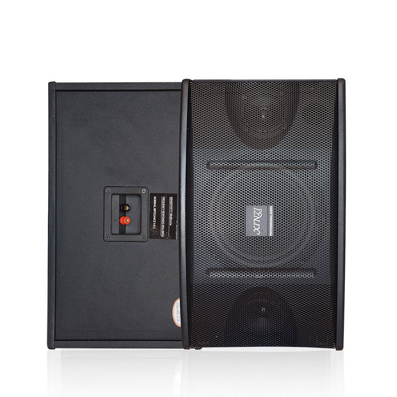 专业10寸家庭KTV卡包音响套装多媒体卡拉OK会议舞蹈室重低音音箱