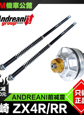 ANDREANI 安德烈尼 前减震 适用于川崎ZX4R RR 改装竞技前避震芯