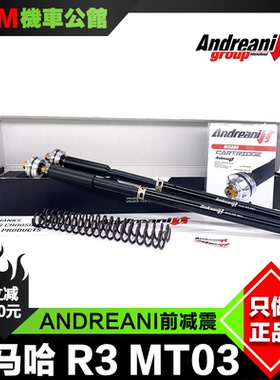 ANDREANI 安德烈尼 前减震 适用于雅马哈R3 MT03 改装 前避震芯