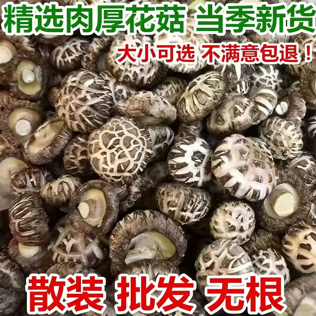 西峡大花菇干货无根肉厚大小香菇蘑菇农家土特产新货冬菇营养菌