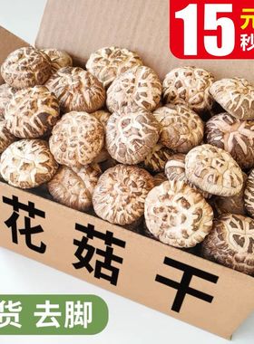 西峡大花菇干货500g干香菇蘑菇农家土特产新货批发香茹冬菇营养菌