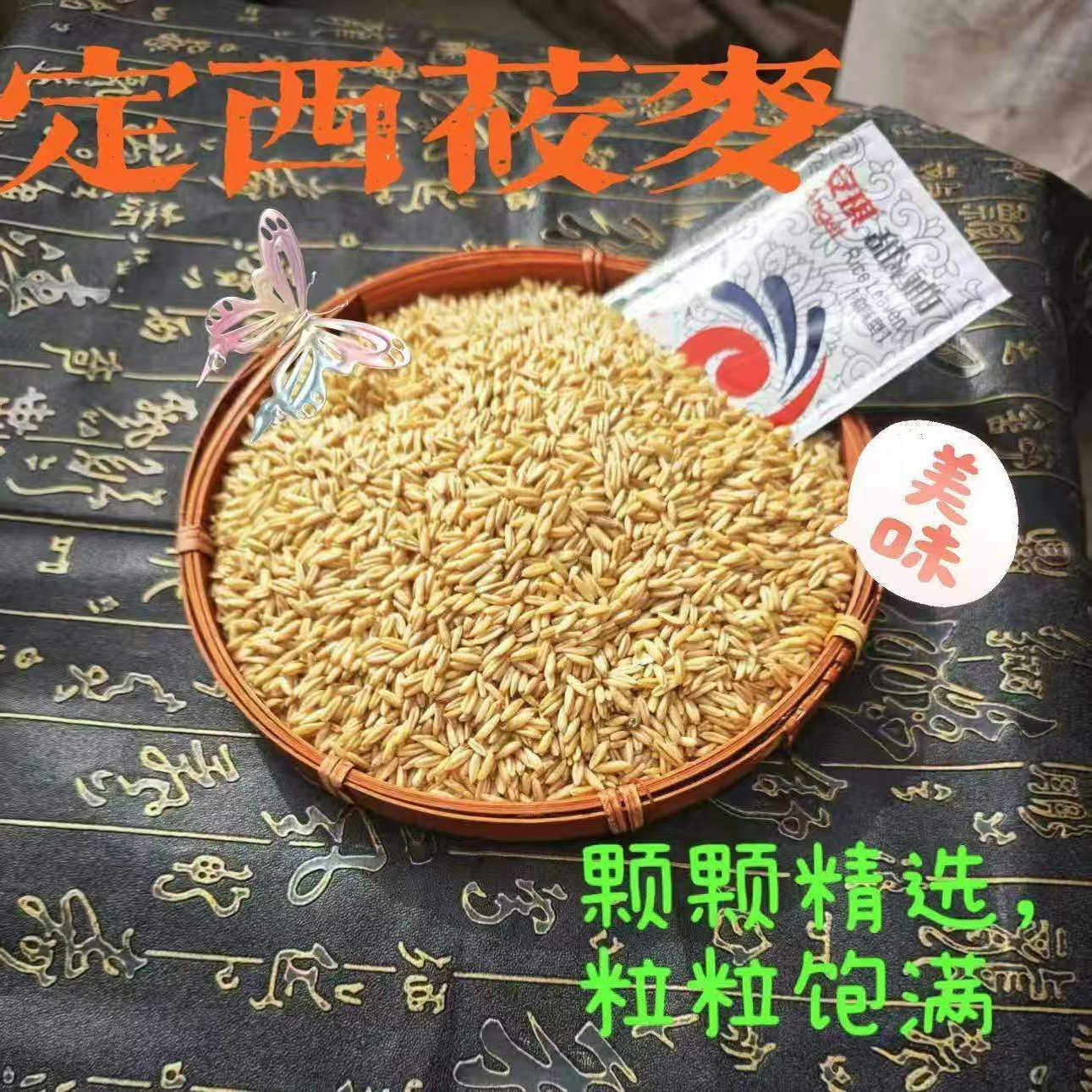 甘肃全新胚芽燕麦米莜麦子破壁去芒刺去涩去苦裸燕麦甜醅农家种植