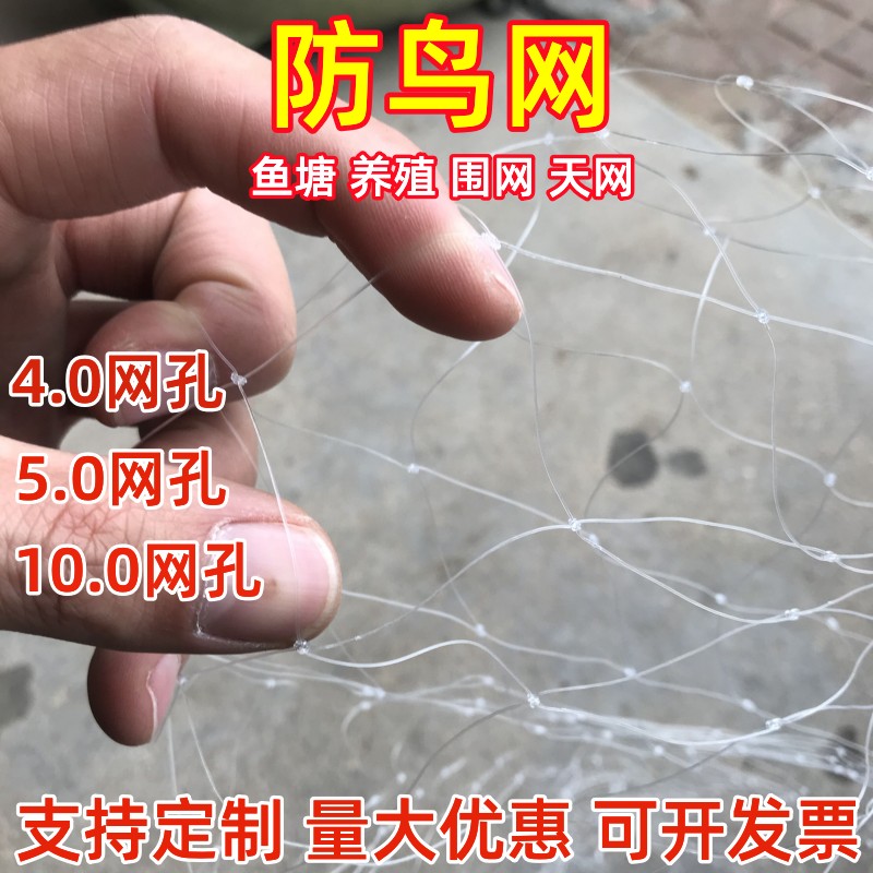 大网孔尼龙鱼塘养殖防鸟网