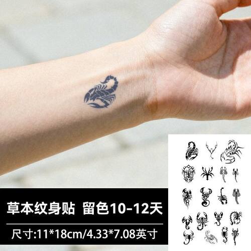 蝎子符文仿真防水持久纹身贴