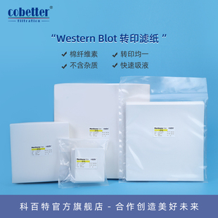 科百特WesternBlot转印滤纸 棉纤维素厚度均一实验重复性好0.38mm/0.85mm厚7.5*8.4cm适用迷你胶 20片/50片装