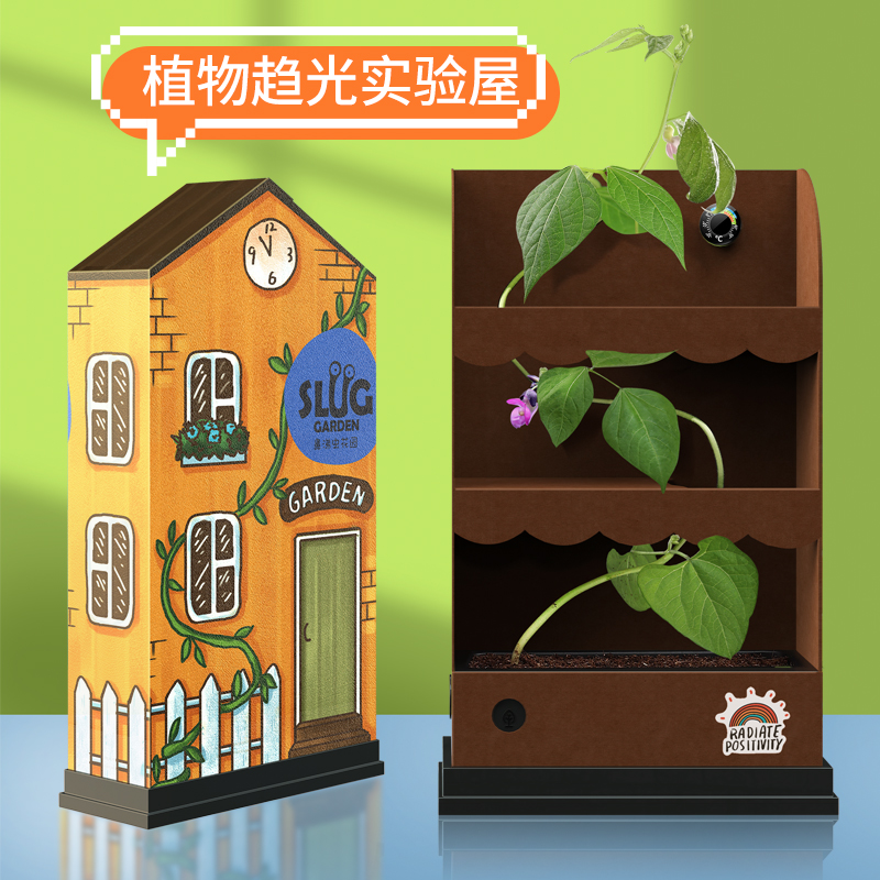 鼻涕虫花园植物生长实验小套装