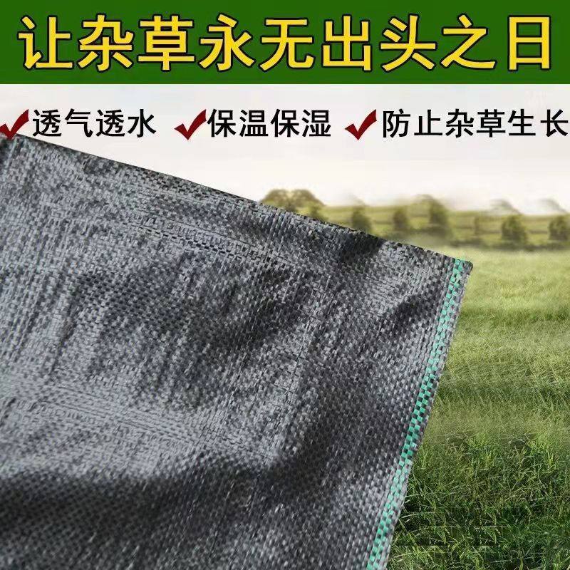 农用加厚园艺防草布除草布地布耐用F抗老化遮盖草果树园透气保湿