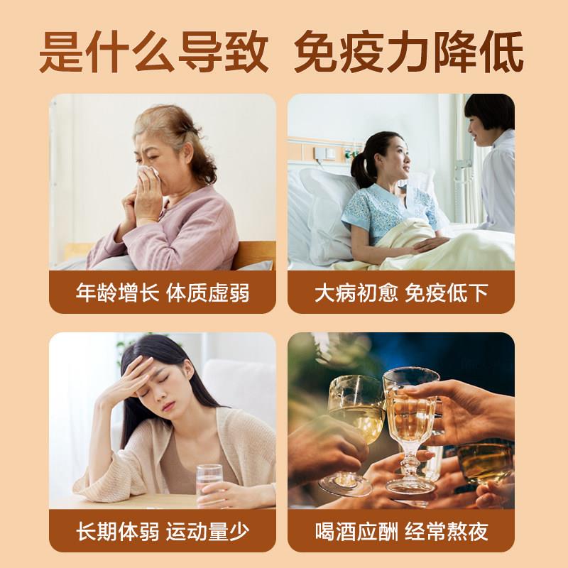 多健 灵芝孢子粉套盒装倍体好身身体棒 老OIW百姓吃得的灵芝孢起