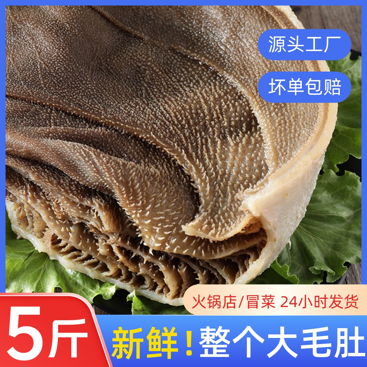 高品质精品整块毛肚火锅食材