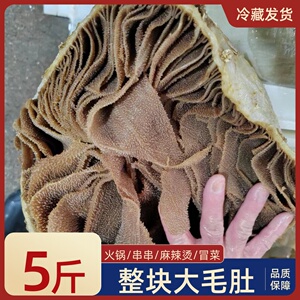 火锅毛肚5斤重庆火锅食材牛整肚肚毛肚片新鲜餐饮白煮牛百叶包邮