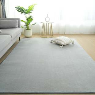 地毯纯色高级感客厅茶几毯加厚短毛绒地垫全铺主卧室ins风床边毯