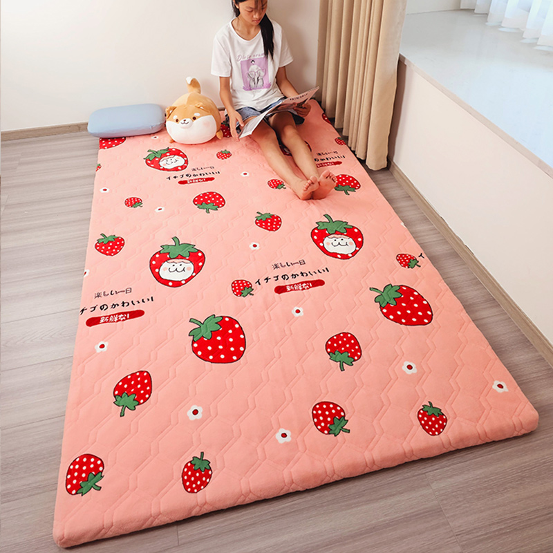 加厚地垫打地铺榻榻米床垫可拆洗