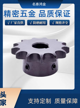 链轮 SP40B22-N-14/15/16/17/18/19/20/22/24/25/28/30/32/35/40