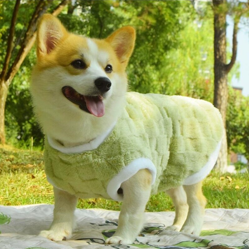 狗衣服护肚子狗狗衣服秋冬加绒中小型犬棉服休闲卫衣保暖冬装