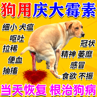 庆大霉素狗用口服药治疗冠状细小感冒抽搐呕吐猫咪拉稀止泻犬瘟药