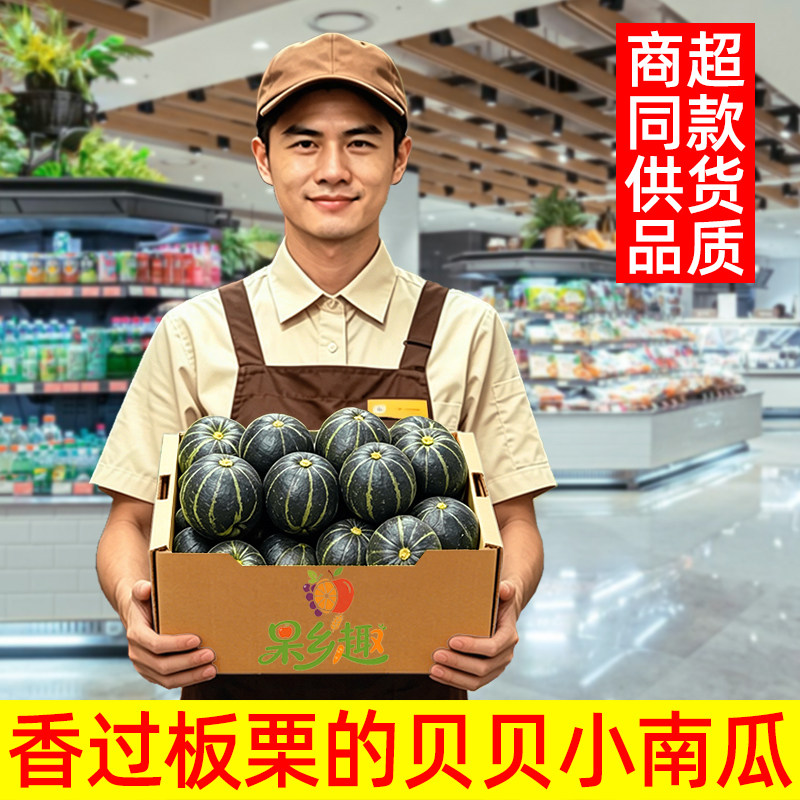 正宗现摘香糯甜板栗味贝贝小南瓜5斤新鲜蔬菜老南瓜惠和一号9包邮