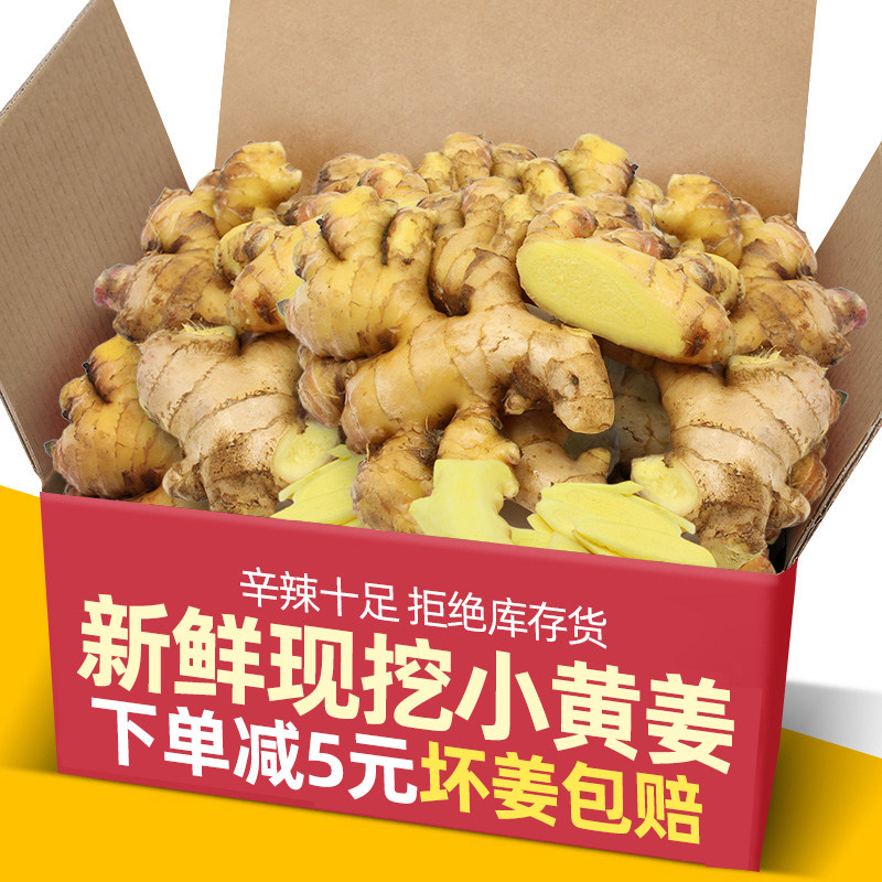 云贵川新鲜小黄姜嫩姜仔姜当季新姜泡姜生姜鲜姜嫩姜芽子姜南州四