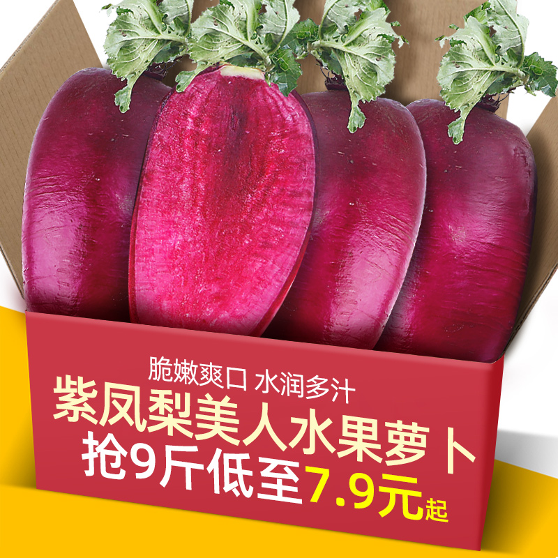 正宗山东寿光紫凤梨美人水果萝卜5-9斤甜脆青红皮潍坊沙窝心里美