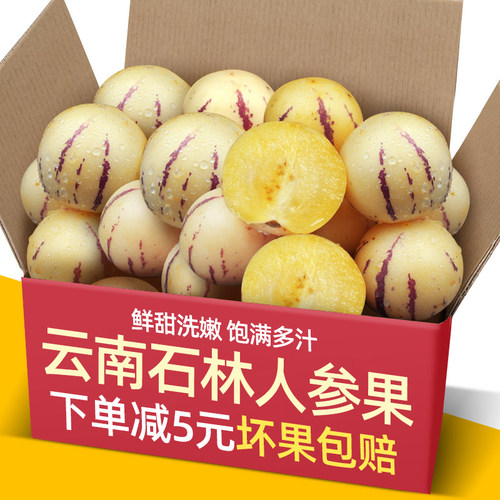 正宗现货云南石林人参果5-9斤装