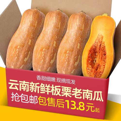 云南老品种板栗老南瓜5斤