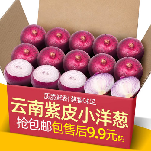 云南农家现挖水果小洋葱9斤新鲜