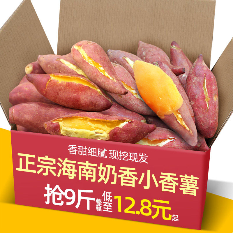 正宗海南奶香小香薯9斤板栗红薯地瓜新鲜红皮沙地番薯干面甜山芋