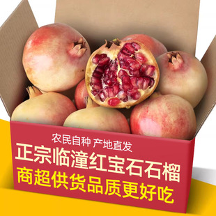 现货陕西临潼突尼斯软籽石榴新鲜当季水果5斤大果整箱甜石榴包邮9