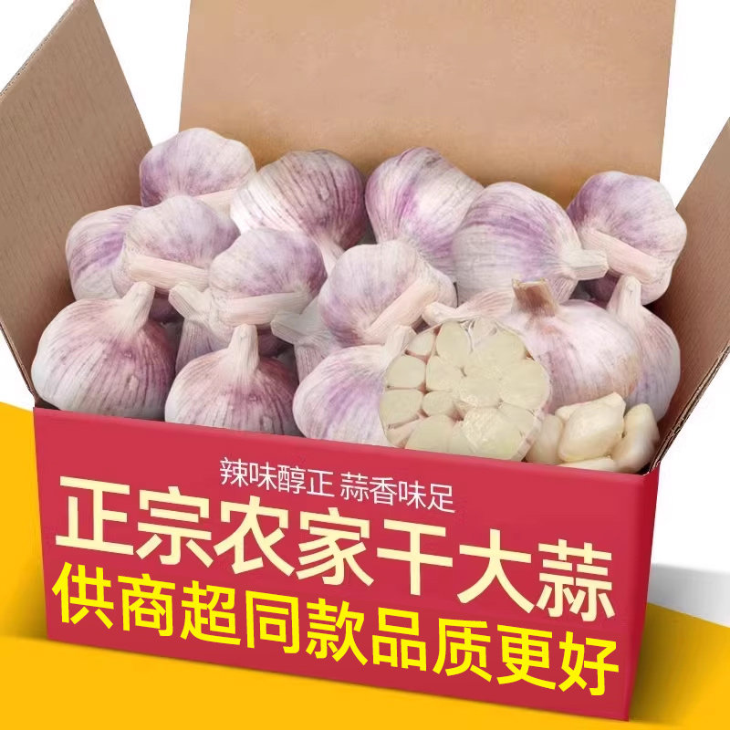 新晒新干蒜3-5-9斤大蒜头种子籽批发新鲜蔬菜紫皮蒜山东金乡