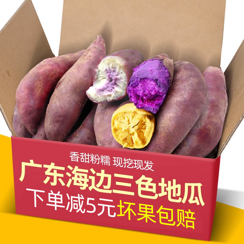 广东茂名现挖海边三色地瓜