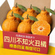 四川不知火丑橘新鲜水果9斤当季 甜丑八怪柑桔子耙耙橘子大果整箱5