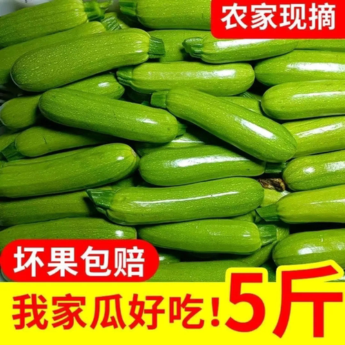 现摘云南农家西葫芦5斤