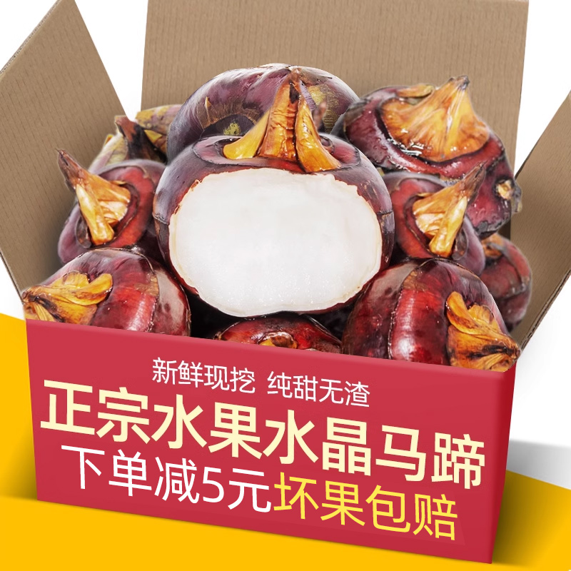 安徽现挖新鲜水果马蹄