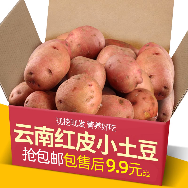 云南红皮小土豆新鲜10斤