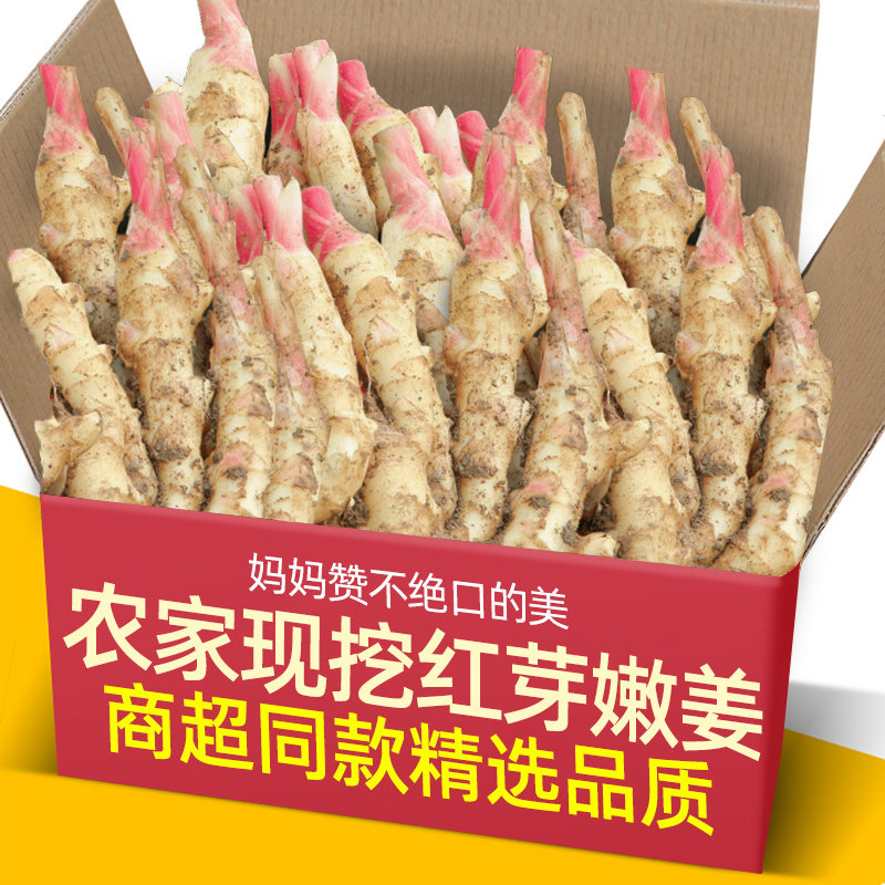 山东红芽嫩姜5斤装新鲜