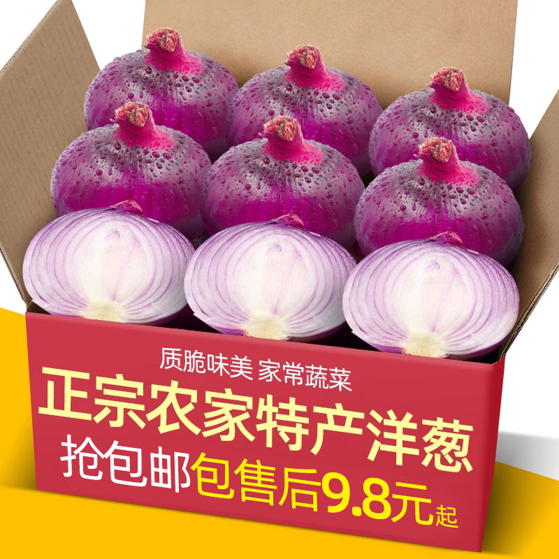 正宗山东水果特级大洋葱10斤