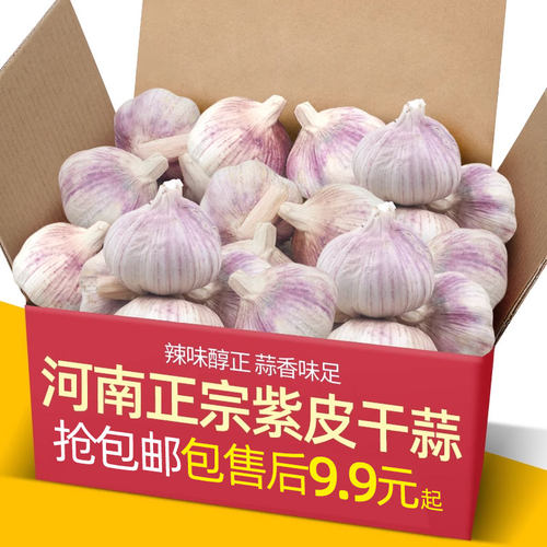 正宗2026河南开封干蒜头5斤
