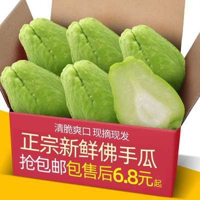 Yunnan Fresh Chaucus 5-9 Джин Плато Фермер выращивает овощи, держит дыни, урожай дыни, дыни и долговечность.