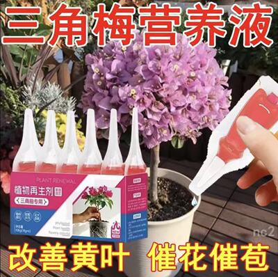 三角花专用营养液生根改善黄叶