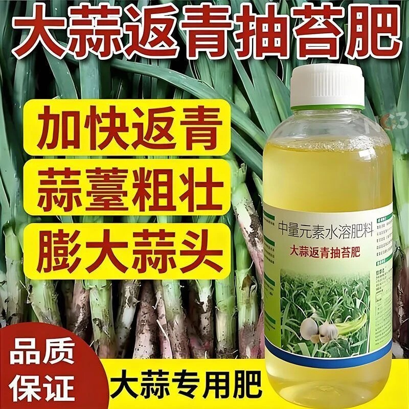 正品大蒜返青抽苔肥出苔齐蒜头大套餐专用早熟增产叶面肥蒜薹粗壮