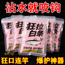 狂拉白条专攻小白条强聚窝腥味浓郁免打窝爆护神器连竿爽穿透力强