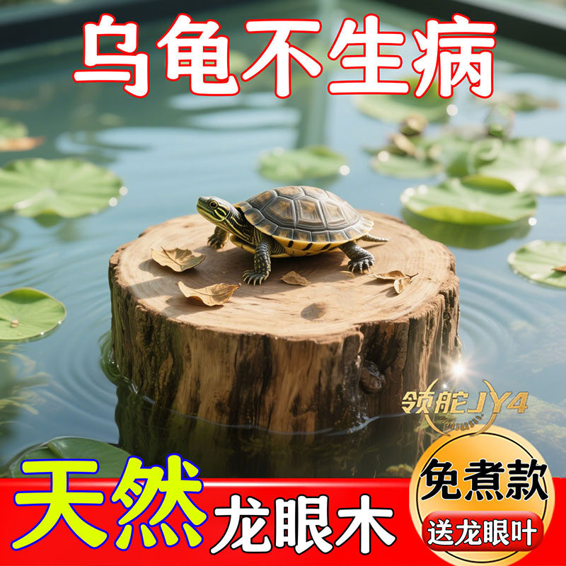 乌龟缸免煮木质龙眼乌龟晒台治疗腐皮腐甲休息专用乌龟龙眼叶装饰