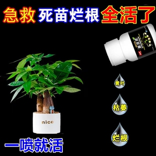 复活灵叶面肥生根提苗叶片肥厚增绿花卉果树蔬菜通用氨基酸水溶肥