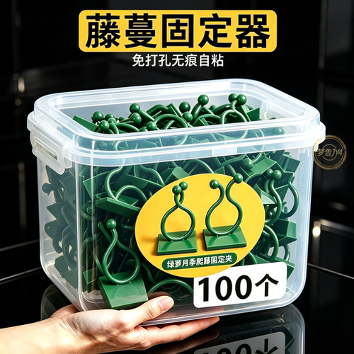 藤蔓绿植爬墙固定器墙面月季墙上固定器神器免打孔蔷薇园艺用品
