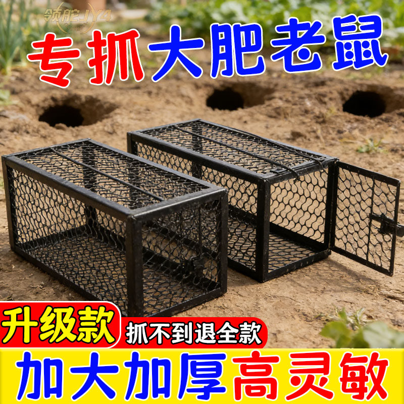 老鼠笼子大号室内捉捕鼠抓鼠夹耗子笼全自动家用捕鼠器具高灵敏