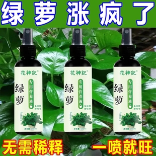 绿萝营养液水培肥专用叶子发黄烂根催芽喷雾花形蔬菜专用肥营养液
