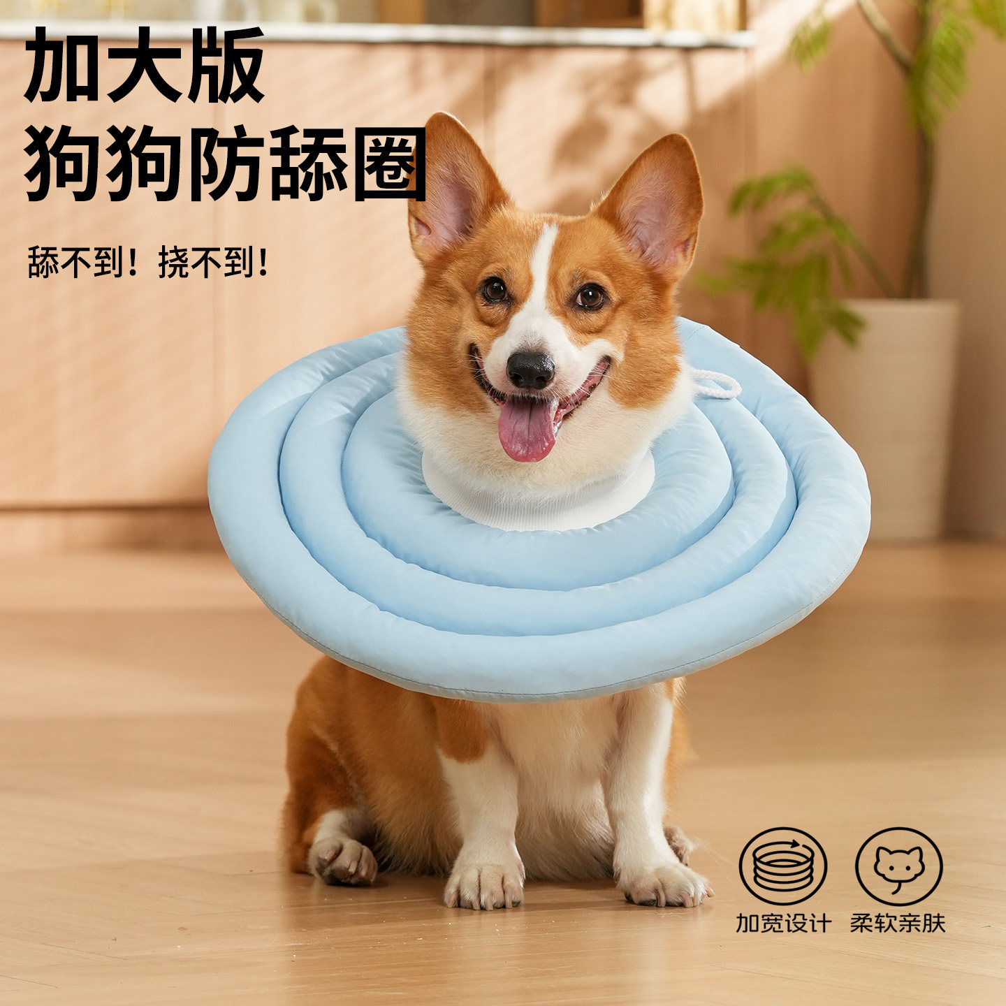 猫钦差加大款狗狗伊丽莎白软圈
